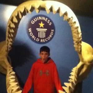 Meet your Posher, Evan